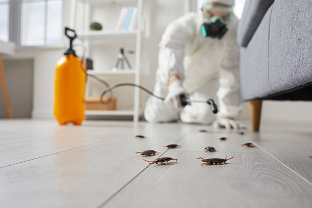 Post-Treatment Bed Bug Interceptor Monitoring in New Cumberland